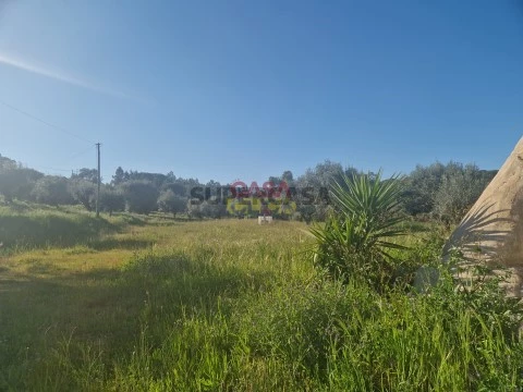 Terreno em Asseiceira, Tomar