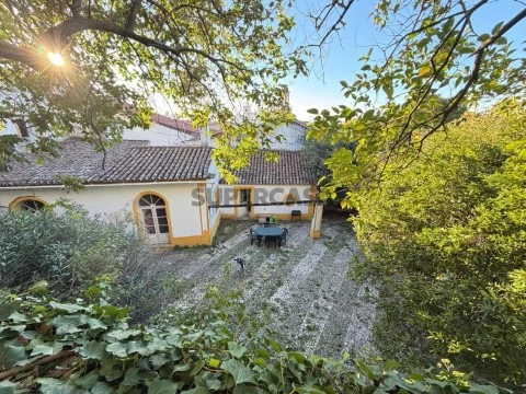 Palatial Building in the Historic Centre - A Unique Opportunity