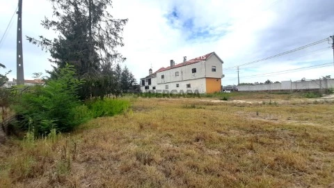 Terreno em Calvaria de Cima, Porto de Mós