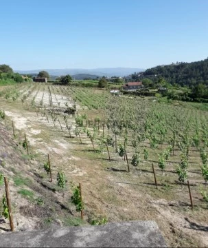 Terreno