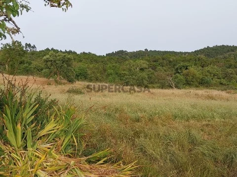 Herdade Reliquias-Odemira