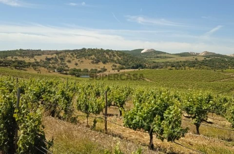 Farm +140Ha with 30Ha Vineyard in - Évora - Portugal