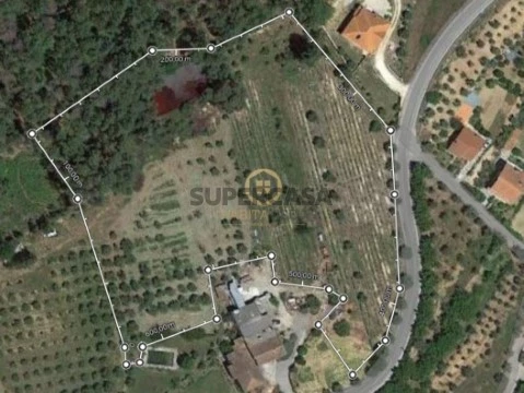 Terrein Op Castelo de Penalva, Penalva do Castelo