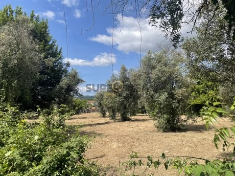 Terreno Urbano em Silgueiros, Viseu