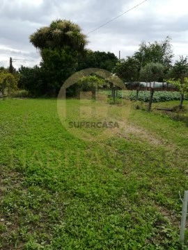Moradia T1 em Viseu, Viseu