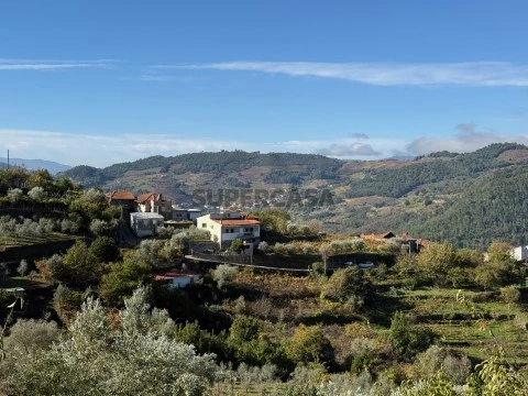 Terreno com Cerejas-Rústico-Resende-Viseu-Home-Tailors-Business