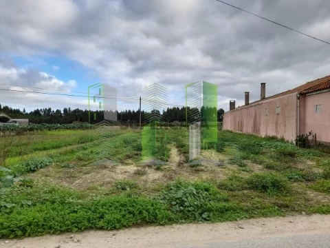 Terreno em Covões e Camarneira, Cantanhede