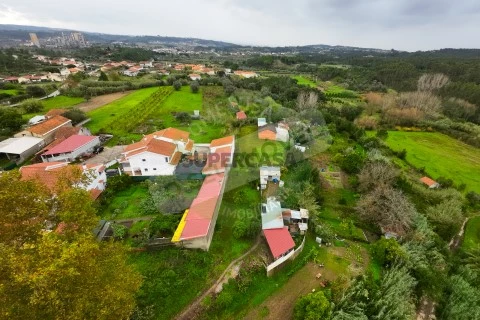 Fotos-1