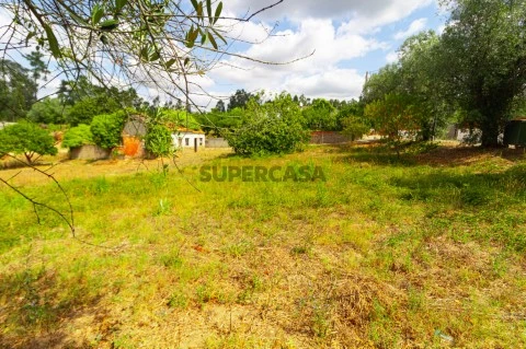 Terreno Cantanhede-5