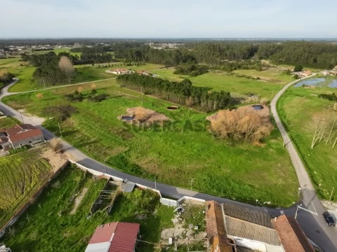 Terreno Bracial - Tocha