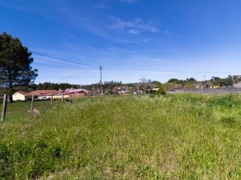 Terreno Cantanhede-5