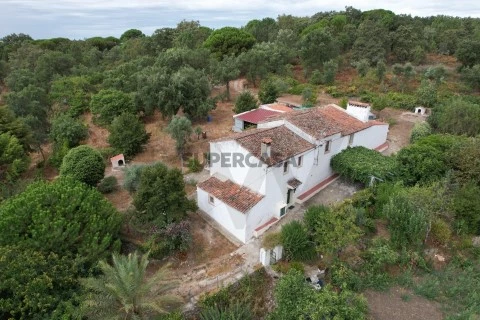Quinta T6 em Sé e São Lourenço, Portalegre