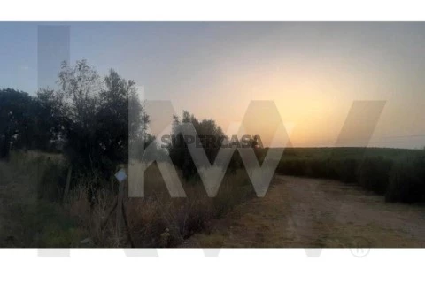 Developable Land in Avis, Avis