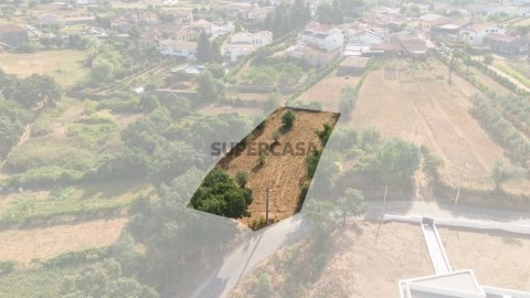 DJI_0972-Editar