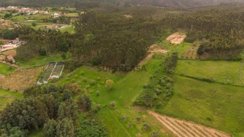 DJI_20260421150838_0569_D