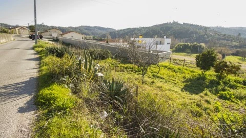 Alçado Principal