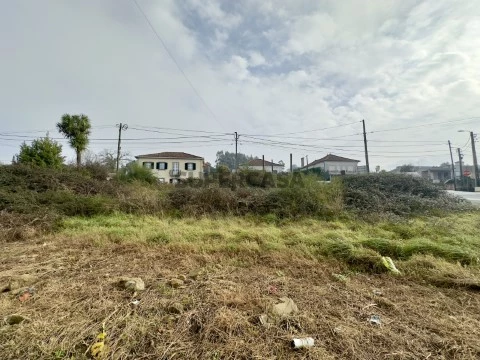 Terreno