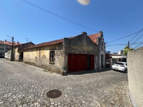 Foto (15)