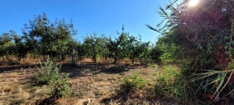 Quinta T2 em Aldeia Galega da Merceana e Aldeia Gavinha, Alenquer