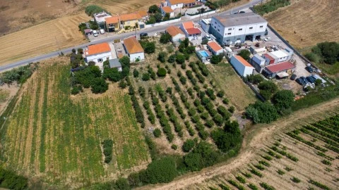 Moradia T4 em Ventosa, Torres Vedras