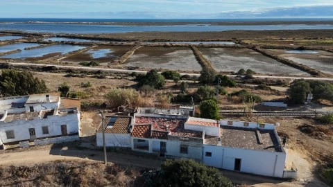 Vista Panorâmica