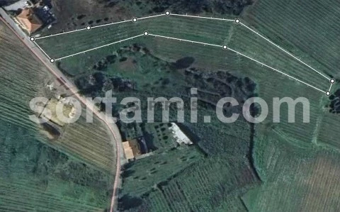 Terrain Rustique au Arcos e Mogofores, Anadia