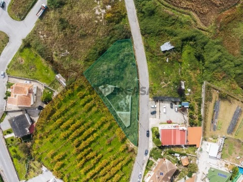 DJI_0687