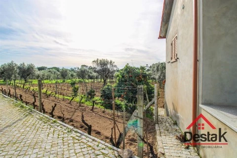 Quinta T0 em Silgueiros, Viseu