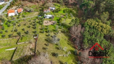 Quinta T0 em Sabugosa, Tondela