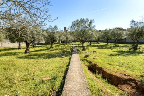 terreno em Minde, Alcanena