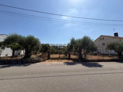 Terrein Op Casais e Alviobeira, Tomar