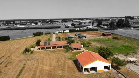 Quinta T3 em Atalaia e Alto Estanqueiro-Jardia, Montijo