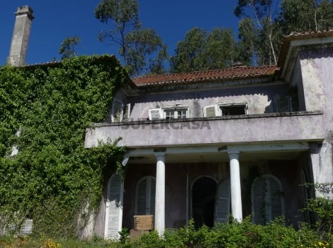 Quinta