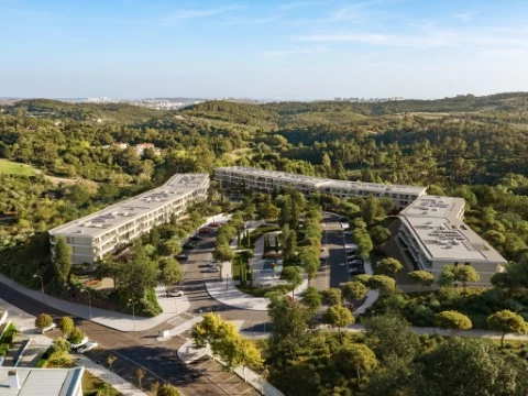 Vista aérea Bloomia