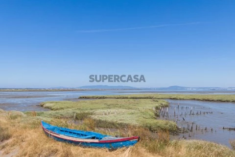Terreno