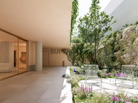 Zona Exterior Modelo Selva