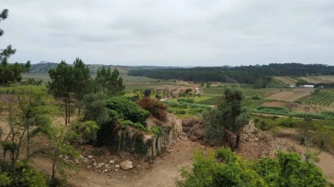 RUÏ_974_AG