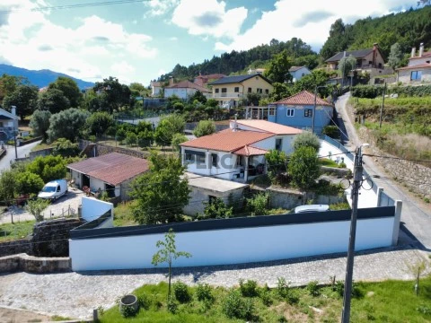 Drone 24