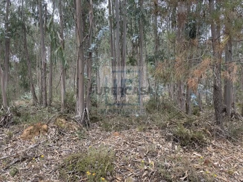 Terreno em Amoreira, Óbidos