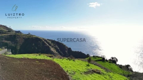 Vistas