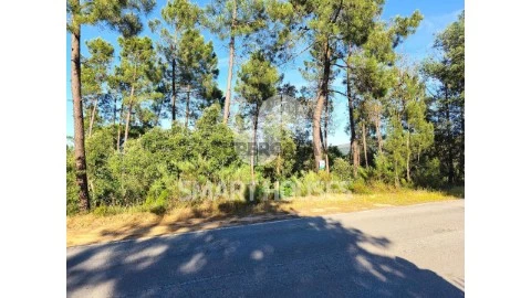 Terreno em Arganil, Arganil