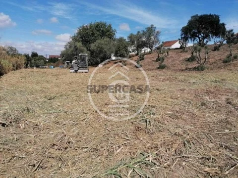 Terreno em Alpiarça, Alpiarça