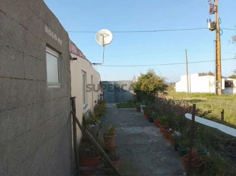 Terreno Rústico em Alpiarça, Alpiarça