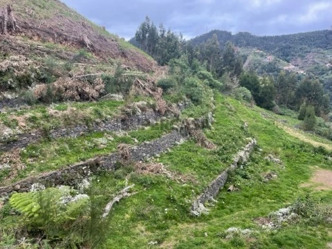 Vistas