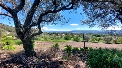 Terreno com 600m2 na Pastoria, Chaves