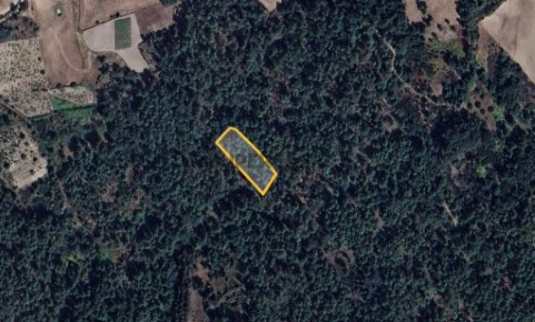 Terreno de monte com 1200m2 na Pastoria, Redondelo, Chaves, Portugal