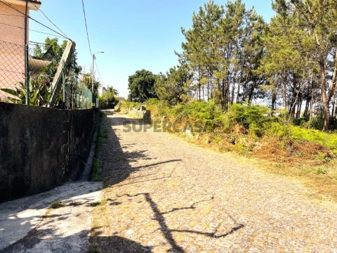 Terreno na Rua da Tomadia, Forjães, Esposende