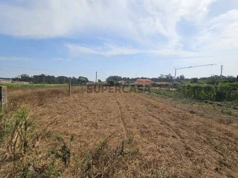 Terreno na Rua Carlos Barbosa Vila Chã, Palmeira de Faro, Esposende