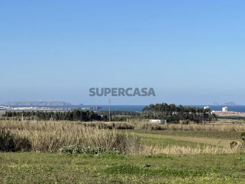 Vista Berlengas