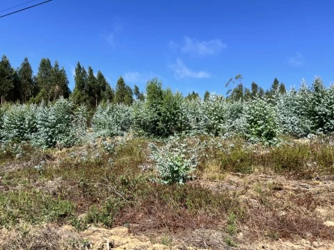 BHHS-Atlantic-Portugal-Lote-Construção